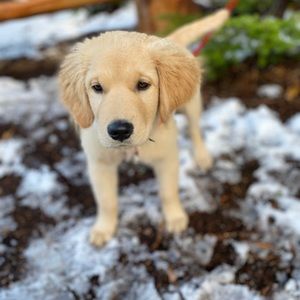 Meet your Posher, Taryn